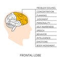 Human brain illustration Royalty Free Stock Photo