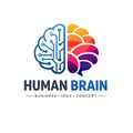 Human Brain Illustration Representing Business Intelligence Creativity And Strategic Thinking Royalty Free Stock Photo