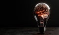 Human brain inside lightbulb on wooden table black background Royalty Free Stock Photo