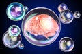 Human brain inside soap bubbles, 3D Royalty Free Stock Photo