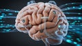 Human brain integrates biological thinking with artificial intelligence technology Royalty Free Stock Photo