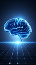 Human Brain Intelligence Network Digital Grid Concept Technology Future Science Connection Royalty Free Stock Photo