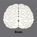 Human brain. Internal organ, anatomy. Vector cartoon flat icon illustration isolated on white background Royalty Free Stock Photo