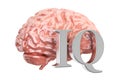 Human brain and IQ text