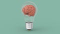 Human brain concept idea 3d image Royalty Free Stock Photo