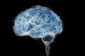 Human brain and its capabilities. Conceptual vision. - 3D Illustration