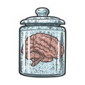 human brain in jar sketch vector illustration Royalty Free Stock Photo