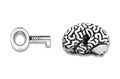 Human brain with a keyhole and a key on white Royalty Free Stock Photo