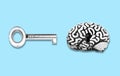 Human brain with a keyhole and master key on blue