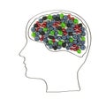 The human brain is laid out from the berries, healthy lifestyle.