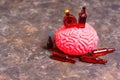 Human Brain with Liquor and Beer Bottles