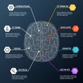 Human brain lobes, anatomy structure, infographic. Left and right human brain concept Royalty Free Stock Photo