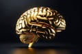 Human brain made of gold on a dark background. Concept of smart person, successful businessman, generator of profitable Royalty Free Stock Photo