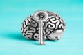 Human brain and master key isolated on blue Royalty Free Stock Photo