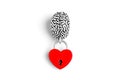 Human Brain Model Connected to Heart-Shaped Padlock on White Royalty Free Stock Photo