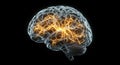 The human brain model displays active glowing neurological pathways Royalty Free Stock Photo