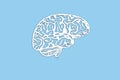 Human brain model on light blue background, concept of level of mind, intellectual achievements, possibility of people`s Royalty Free Stock Photo