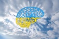 Human brain model on light blue background, in the sky, colors of Ukraine, concept of level of mind, intellectual achievements, Royalty Free Stock Photo