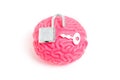 Human Brain Model and Open Padlock with Key