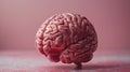 Human brain model on a pink background
