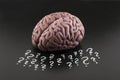Human brain model with question marks drawn with chalk on scholl blackboard Royalty Free Stock Photo