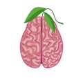 Human brain, nervous system. Healthy brain concept, ecological thinking, vector illustration Royalty Free Stock Photo