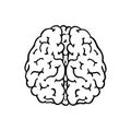 Human brain. Nervous system. Retro vector illustration for woodcut or print. Hand drawn sketch. Royalty Free Stock Photo