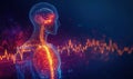 Human brain and nervous system visualization with digital heartbeat graph Royalty Free Stock Photo