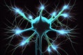 Human brain neurons activity impulse and anatomy