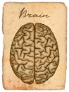 Human brain, old manuscript.