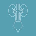 Human brain outline icon on blue background