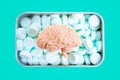 Human brain over a tin box of breath mints Royalty Free Stock Photo