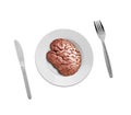 Human brain on plate Royalty Free Stock Photo