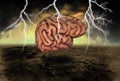 Human Brain Power Illustration Royalty Free Stock Photo