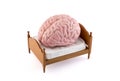 Human brain resting on the bed Royalty Free Stock Photo
