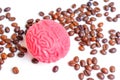 Human Brain and Scattered Coffee Beans on White Royalty Free Stock Photo