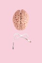 A human brain, anatomical medical model, and a bow tie-shaped USB cable on a pastel pink background. Flat lay