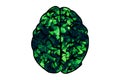 Human brain shape made of green leaves Think green concept Royalty Free Stock Photo