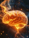 Human brain showing intelligence, creativity, and consciousness on fire Royalty Free Stock Photo