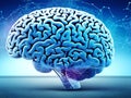 Human brain showing Intelligent thinking processing. Cyber mind concept a neural network of big data and artificial intelligence. Royalty Free Stock Photo