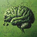 The human brain shown as puzzle