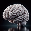 Human brain side view isolated on black background Royalty Free Stock Photo