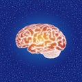 Human brain. Side view - vector stippled illustration Royalty Free Stock Photo