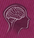Human brain within a simple face silhouette Royalty Free Stock Photo