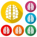Human brain simple illustration, Human brain sticker, icon, logo, color set with long shadow