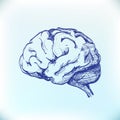 human brain sketch Royalty Free Stock Photo