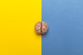 The human brain and split personality. Two psychological conditions Royalty Free Stock Photo