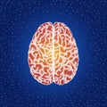 Human brain. Top view - vector stippled illustration Royalty Free Stock Photo