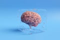 Human brain in a transparent ice cube on blue background Royalty Free Stock Photo