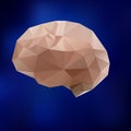Human brain triangle illustration. Triangled brain, medical model Royalty Free Stock Photo